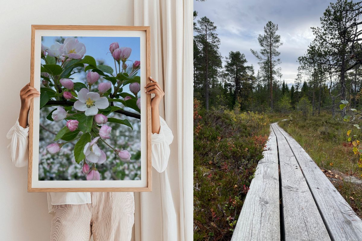 Nye naturmotiver fra Trøndelag - Norsk natur rett hjem på veggen