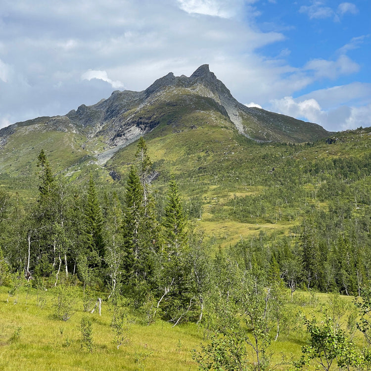 Naturfoto Trøndelag