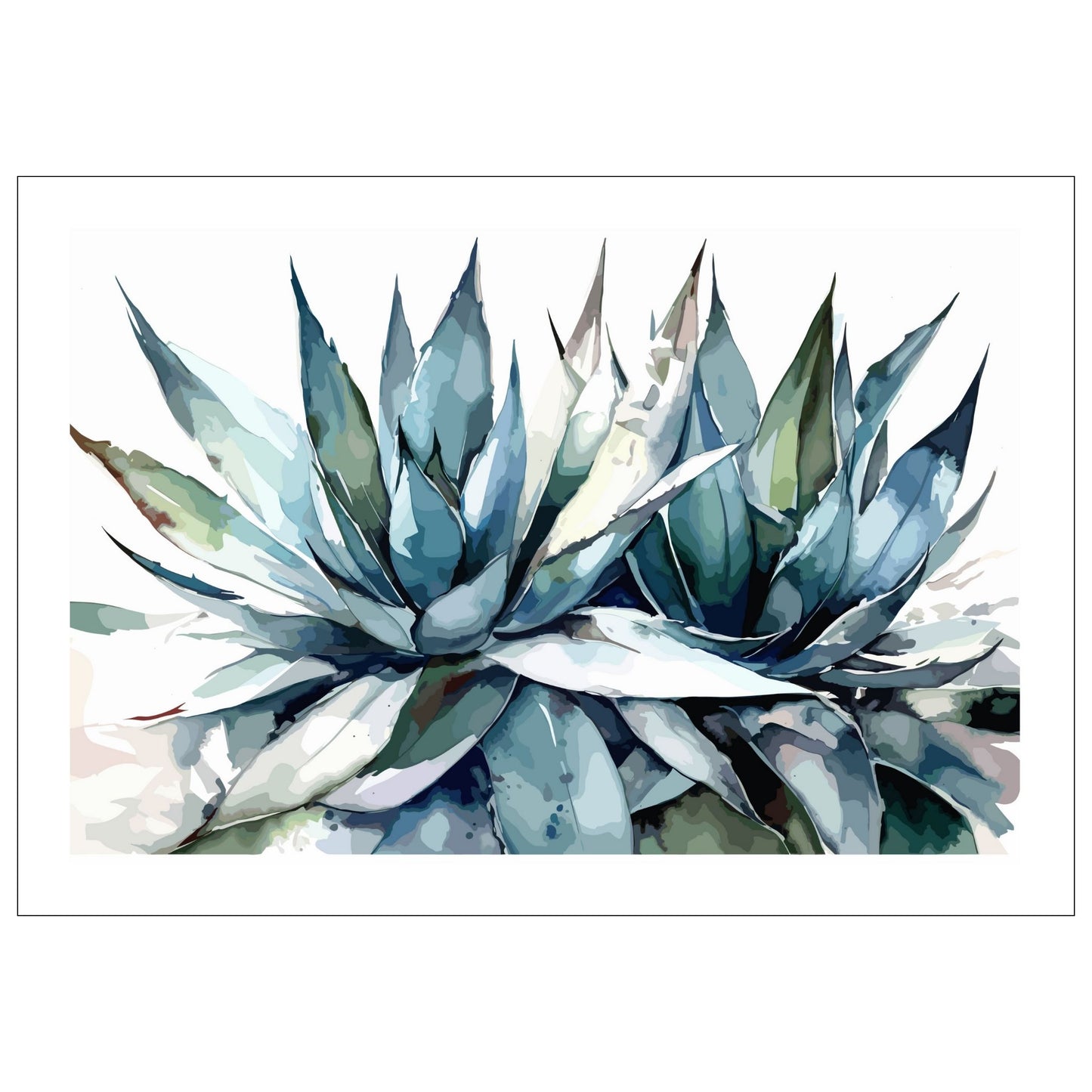 Grafisk akvarell av en praktfull Aloe Vera plante i grågrønne fargenyanser, mot en ren hvit bakgrunn.