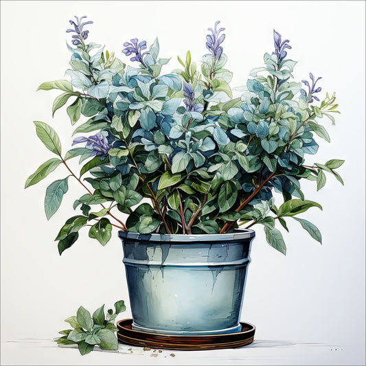 Våre "Blomster i Blått" plakat og lerret er vakkert designet med grafiske illustrasjoner i akvarell, som fremhever botaniske motiv av planter og blomster i nyanser av blått.