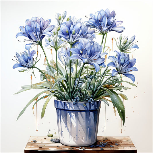 Våre "Blomster i Blått" plakat og lerret er vakkert designet med grafiske illustrasjoner i akvarell, som fremhever botaniske motiv av planter og blomster i nyanser av blått.