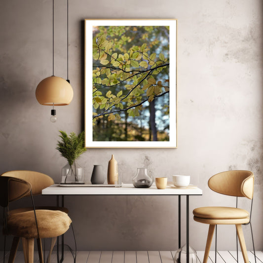 Nydelig plakatmotiv av en bøkeskog i høstfarger. Miljøbilde viser plakaten som henger på en vegg i eikeramme.