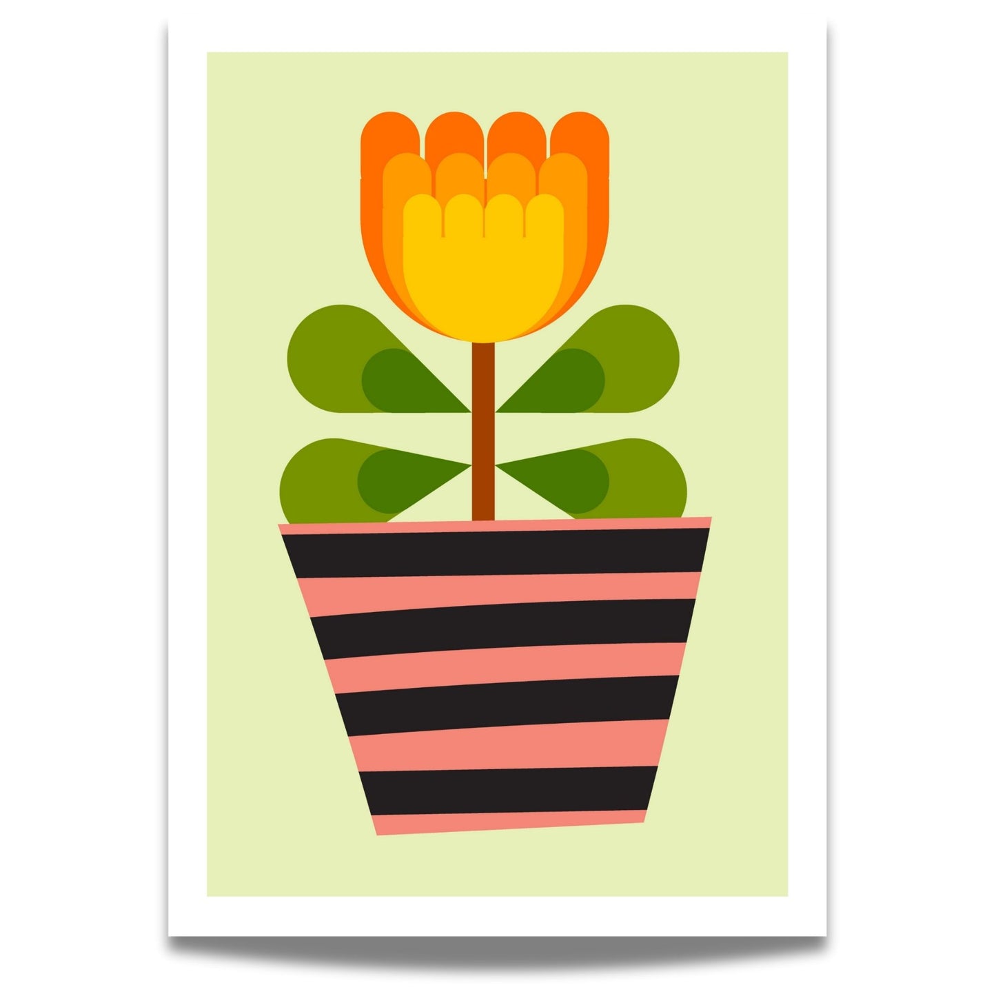 Bold Botanical No18 viser et gyllengult blomsterhode i flere lag danner blikkfanget i denne plakaten. Bladene er harmonisk arrangert i grupper med mørkegrønne hjerteformer, og alt er plantet i en potte med grafiske striper i rosa og sort. Et lekent og energisk uttrykk som avslutter serien med et stilsikkert smil.