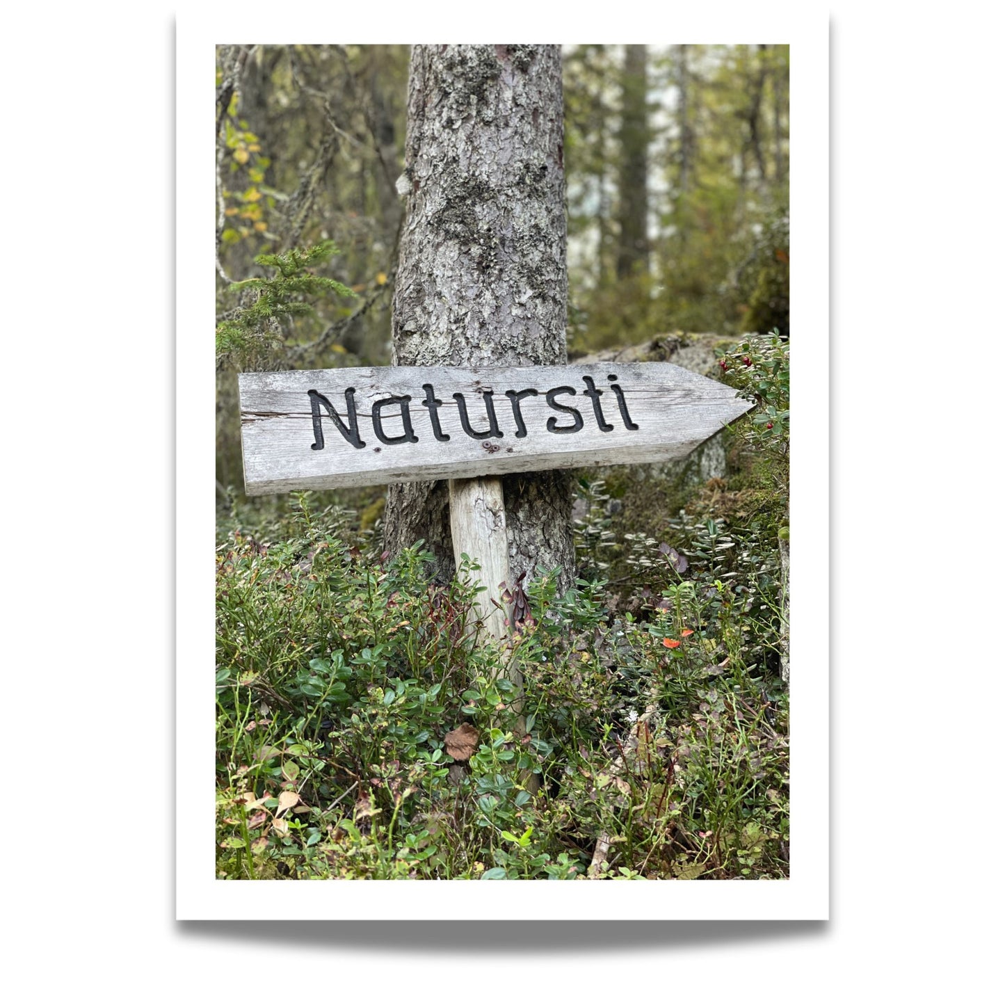 Naturlig Veiviser – Byafjellet er et sjarmerende og ekte motiv som fanger et håndlaget treskilt med teksten “Natursti”.