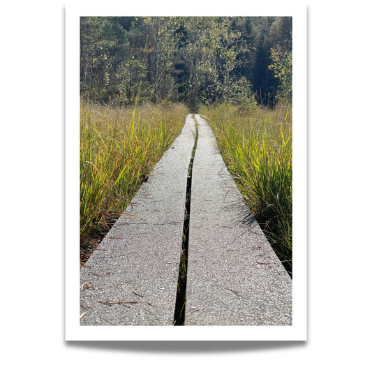 Plankestien – Veien gjennom Myra er et motiv med perspektiv og symbolikk.