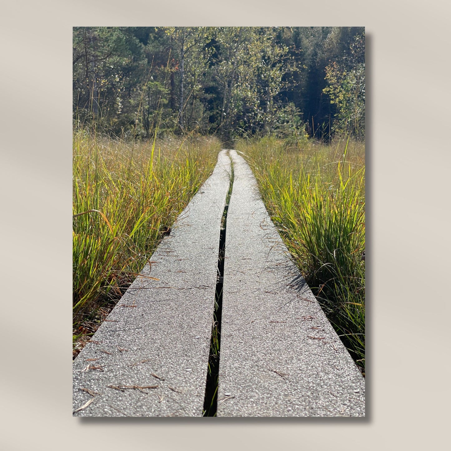 Plankestien – Veien gjennom Myra er et motiv med perspektiv og symbolikk. Illustrasjon viser motivet på lerret.