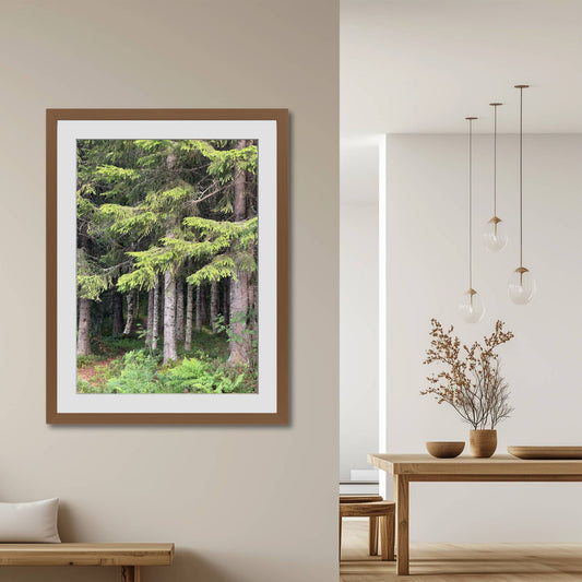 Motiv med tettvokste stammer som strekker seg mot himmelen, omgitt av bregner og skogbunn i livlig grønnfarge. Illustrasjonen viser motivet som plakat med passepartout i brun ramme.