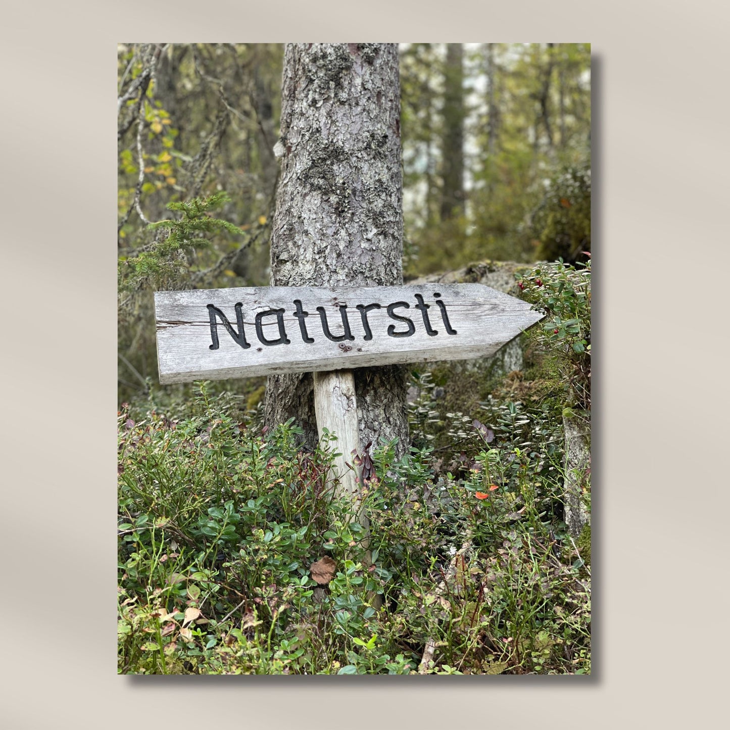 Naturlig Veiviser – Byafjellet er et sjarmerende og ekte motiv som fanger et håndlaget treskilt med teksten “Natursti”. Illustrasjon viser motivet på lerret.