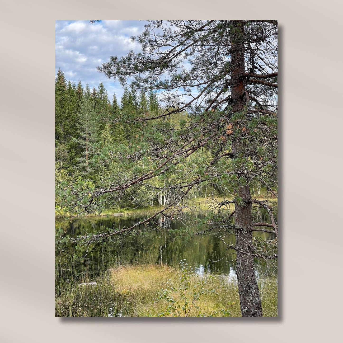 Grantrær speiler seg i det mørke, stille vannet, og myke gresskanter rammer inn motivet. Illustrasjonen viser motivet på lerret.