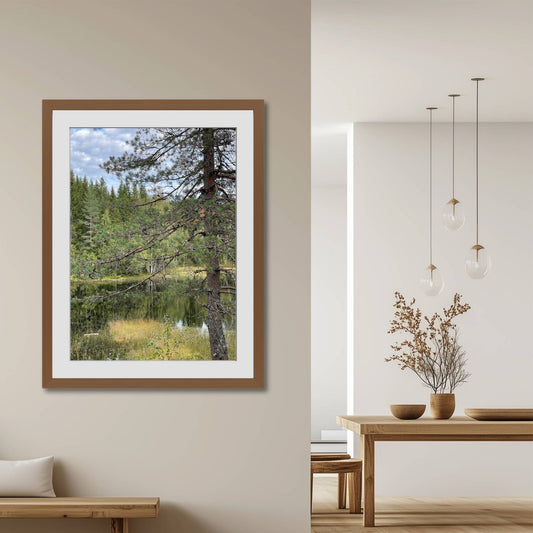 Grantrær speiler seg i det mørke, stille vannet, og myke gresskanter rammer inn motivet. Illustrasjonen viser motivet som plakat med passepartout i brun ramme.