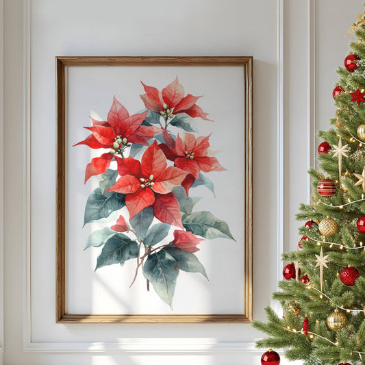 Et elegant akvarellmotiv av julestjerner i varme røde og grønne nyanser. Et tidløst og rent design som bringer naturens skjønnhet inn i julehjemmet. Illustrasjon viser plakat i en ramme.