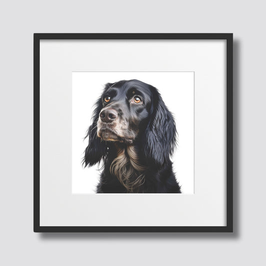 Elegant Cocker Spaniel er en ideell plakat for stuen, soverommet eller kontoret og vil tilføre et preg av raffinement og varme. Illustrasjonsfoto viser motivet i sort ramme med passapartout.