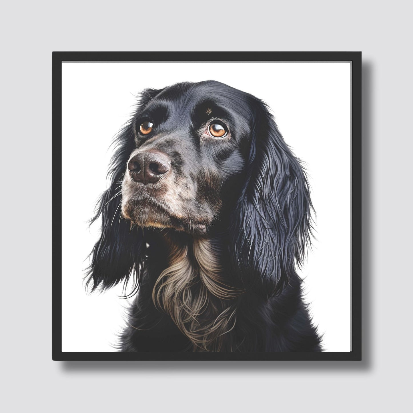 Elegant Cocker Spaniel er en ideell plakat for stuen, soverommet eller kontoret og vil tilføre et preg av raffinement og varme. Illustrasjonsfoto viser motivet i sort ramme.