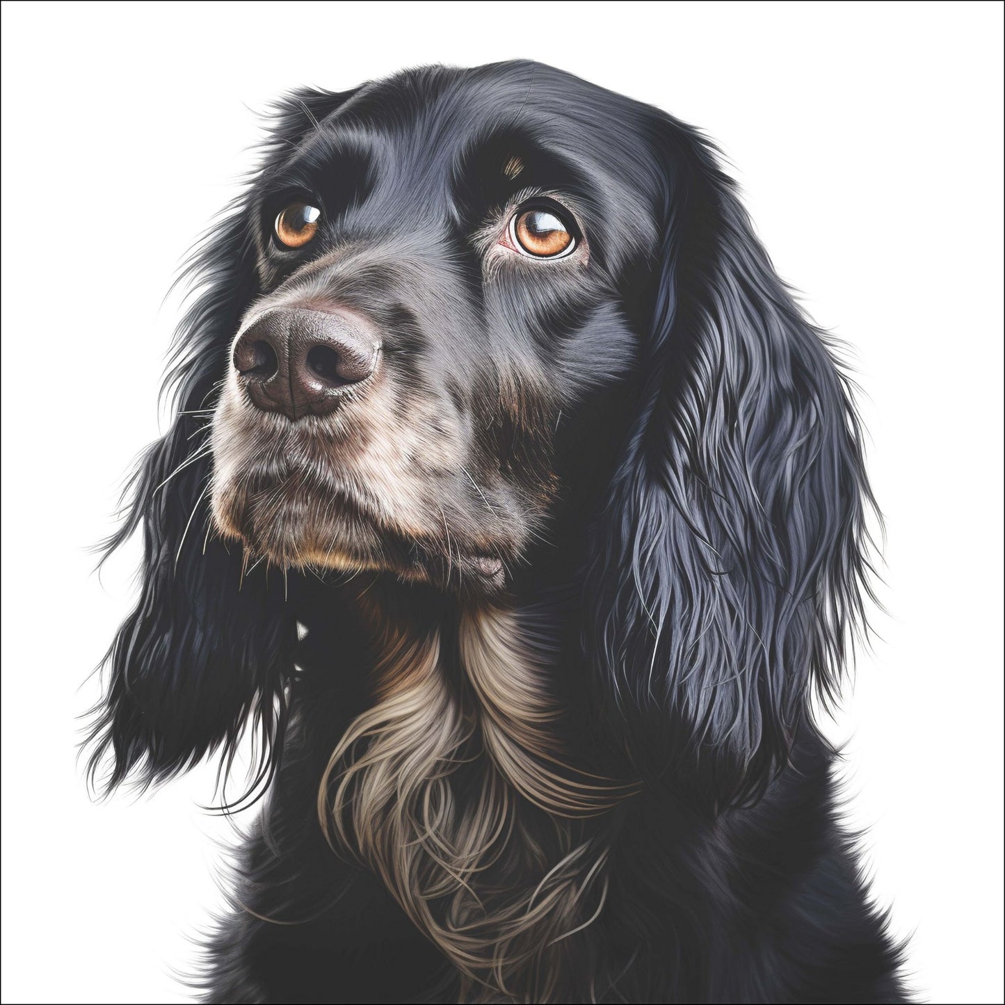 Elegant Cocker Spaniel er en ideell plakat for stuen, soverommet eller kontoret og vil tilføre et preg av raffinement og varme.