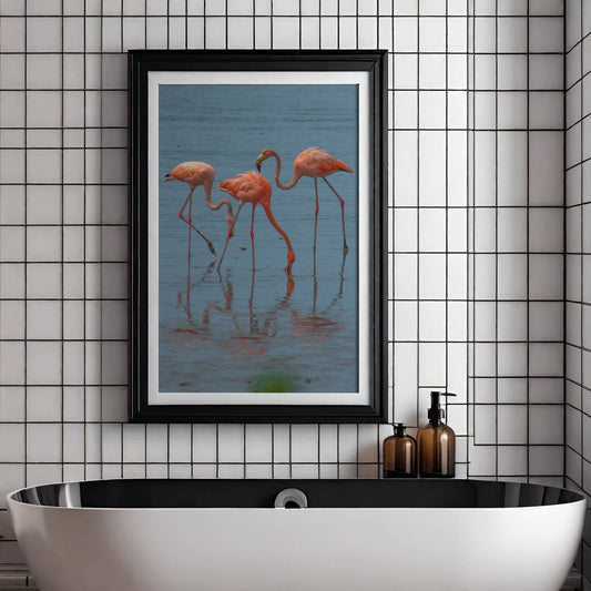 Dette fargerike naturmotivet fanger en gruppe flamingoer i stille vann, med vakre refleksjoner og rolige omgivelser. Illustrasjon viser motivet som plakat med passepartout i sort ramme.
