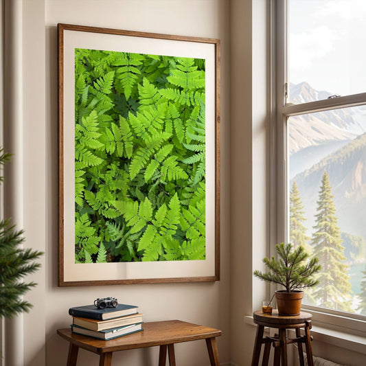 Fugletelg – Skogens Geometri er et detaljrikt nærbilde av frodig, vill telg fra skogbunnen i Trøndelag. Illustrasjonen viser motivet som plakat i eik ramme.