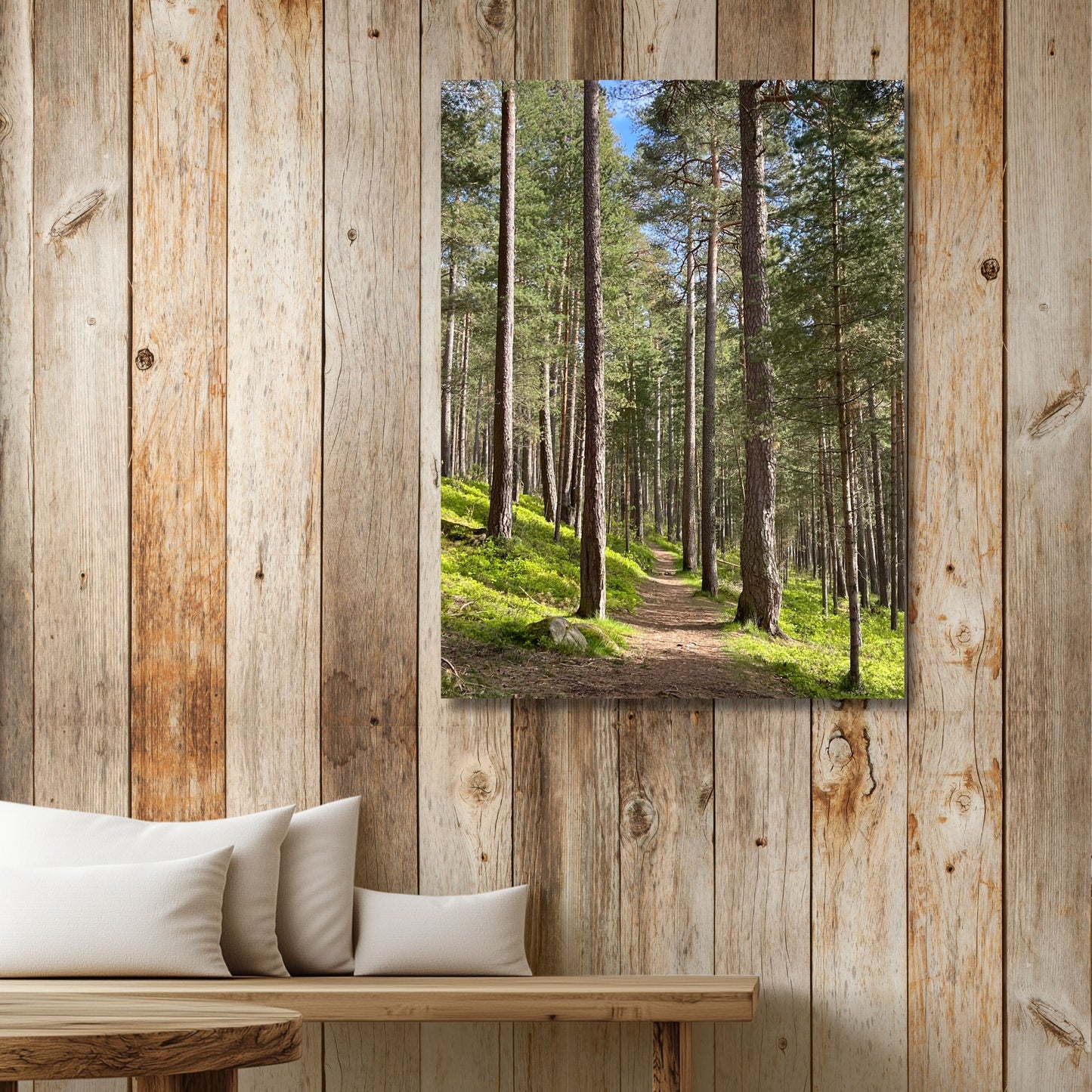 Furuskogen – Stien gjennom Stillheten er et stemningsfullt motiv fra furuskogen i Steinkjer. Illustrasjon viser motivet på lerret.