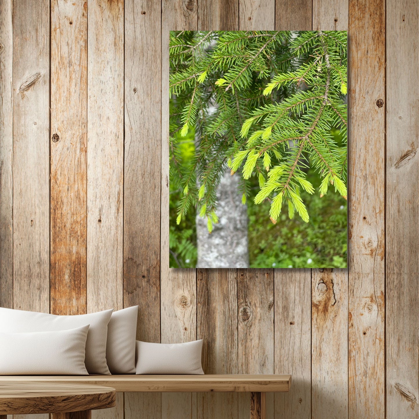 Gran – Skudd og Stillhet viser et dempet og nærgående utsnitt av grankvister med nye skudd. illustrasjon viser motivet på lerret.