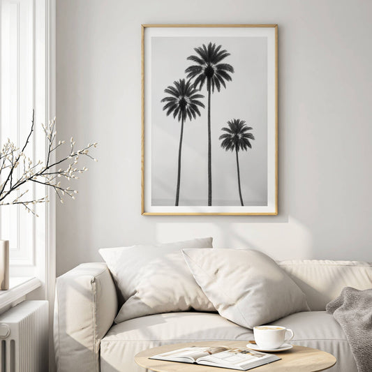 Minimalistisk svart-hvitt-motivet av tre majestetiske palmer langs stranden som skaper en tidløs og avslappende atmosfære. Illustrasjon viser motivet som plakat i eik ramme.
