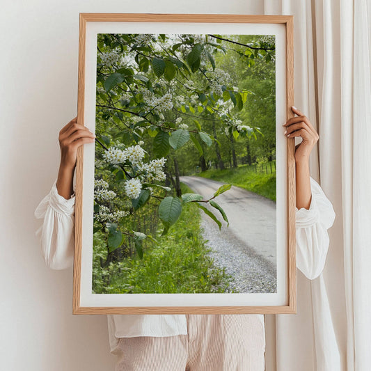 Heggens blomstring ved Eggevammen er et vakkert vårmotiv fra Steinkjer i Trøndelag. Illustrasjon viser motivet med hvit kantlinje i eik ramme.