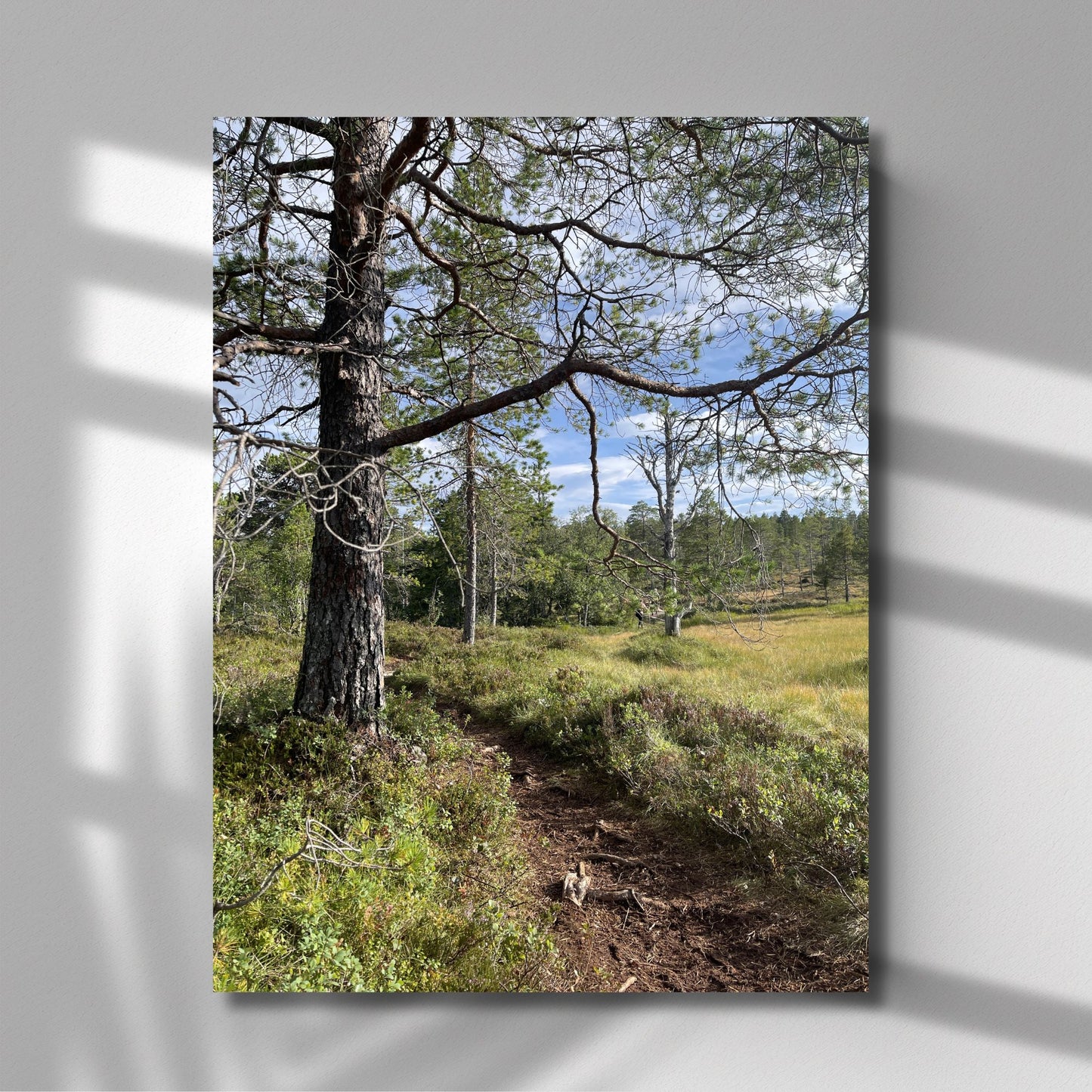 Langs Furustien er et stemningsfullt naturmotiv som leder blikket innover i skogens lune ro. Illustrasjonen viser motivet på lerret.