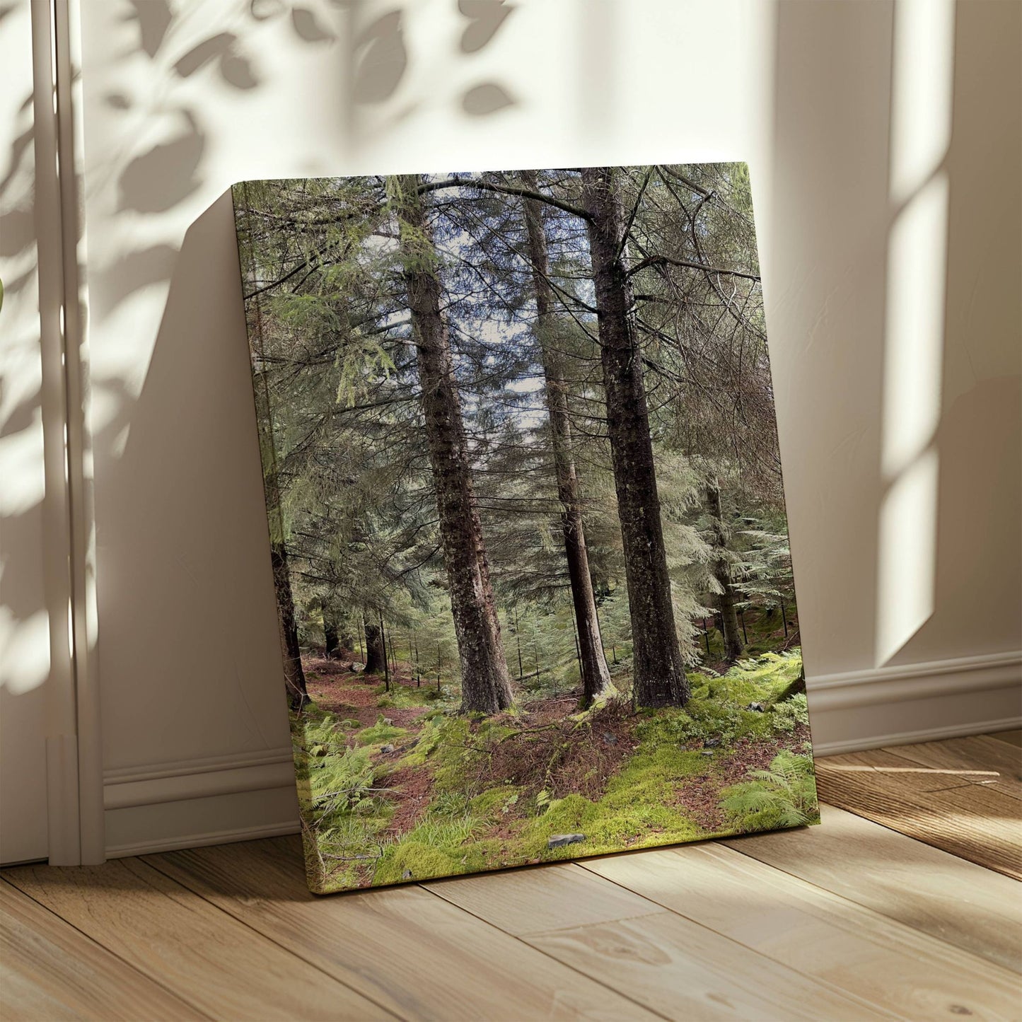 Barskogens Stillhet er et stille, meditativt plakatmotiv fra dypet av trøndersk barskog. Illustrasjon viser motivet på lerret.