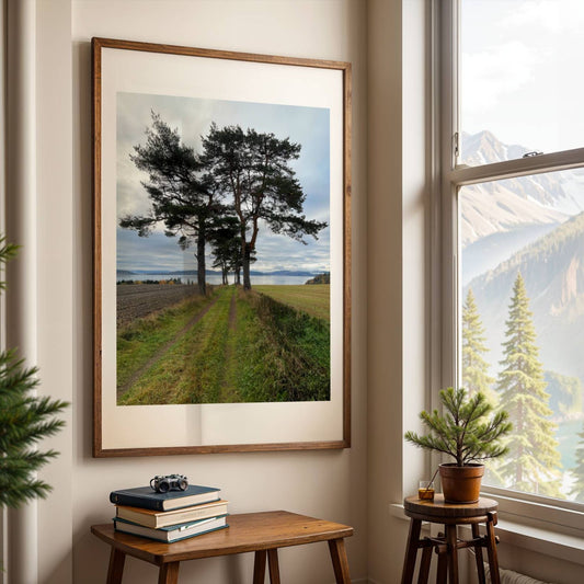 Dette motivet fra Inderøy Kultursti ved Trondheimsfjorden viser et åpent landskap hvor en gressvei slynger seg mellom stolte furutrær og jorder – med fjorden som åpen horisont i det fjerne. Illustrasjon viser motivet som plakat i eik ramme.