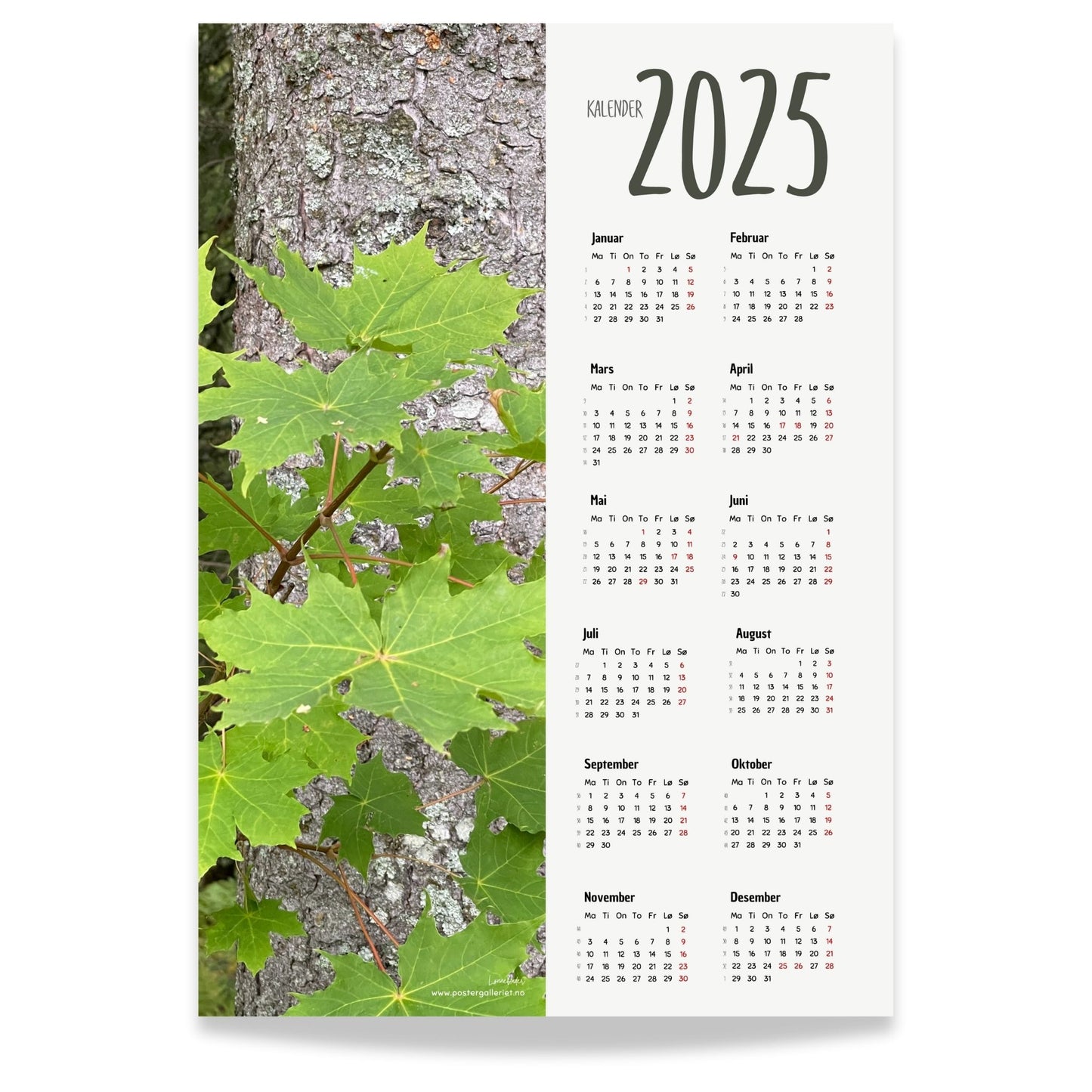 Planlegg året med stil med Kalender 2025! Kalenderen er både funksjonell og dekorativ, og passer perfekt på veggen.