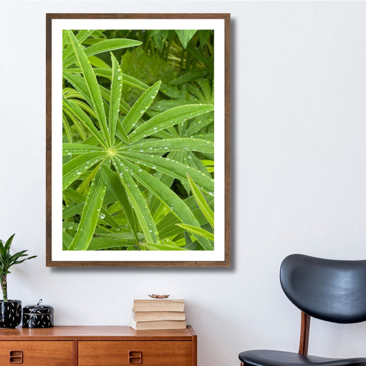 Bring naturens skjønnhet inn i ditt hjem med vår unike Lupin Blader plakat og lerret. Illustrasjonsfoto viser motivet som plakat i brun ramme.