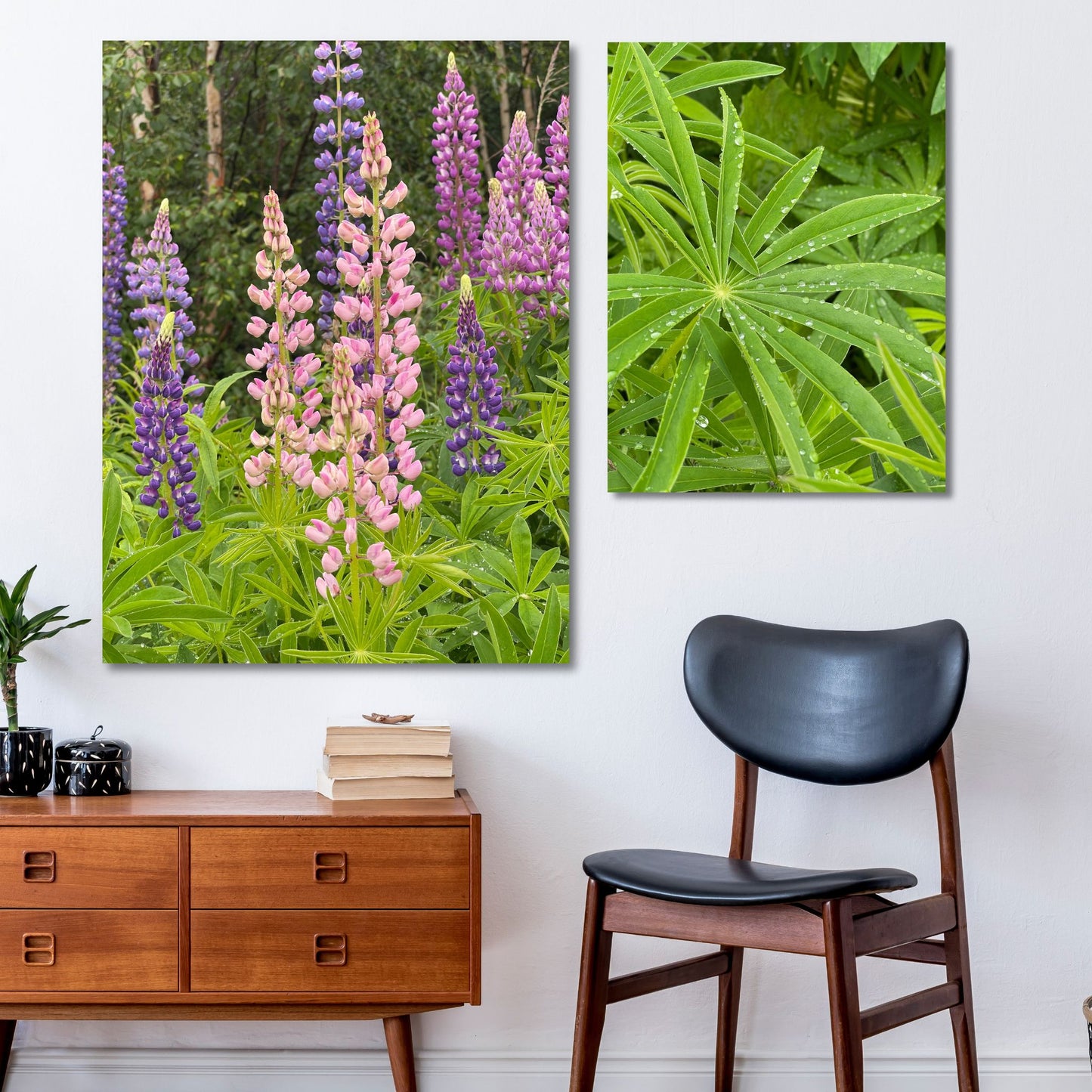 Få naturens skjønnhet rett inn i hjemmet ditt med fargerike Lupiner i full blomst. Illustrasjonsfoto viser motiv no 7 og Lupin balder på lerret.