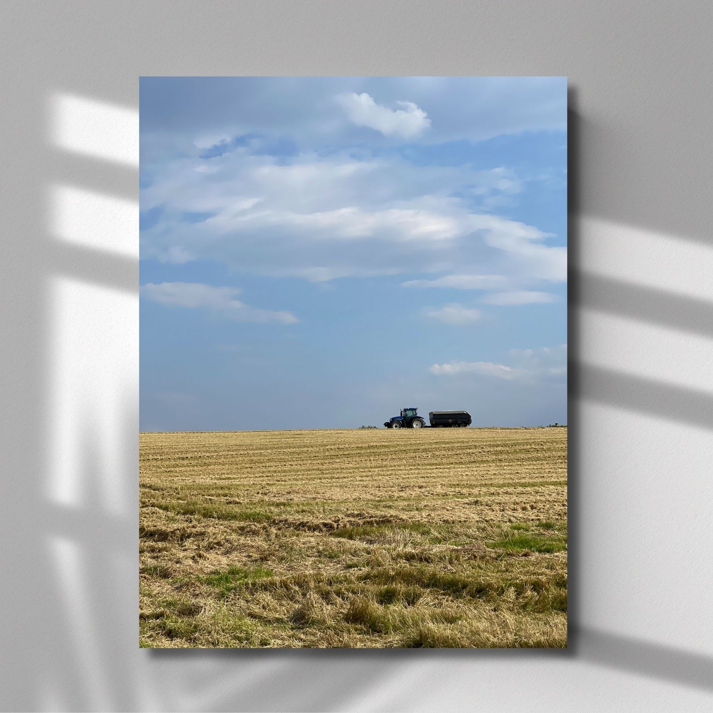 LANDLIG HARMONI I TRØNDELAG - PLAKAT OG LERRET