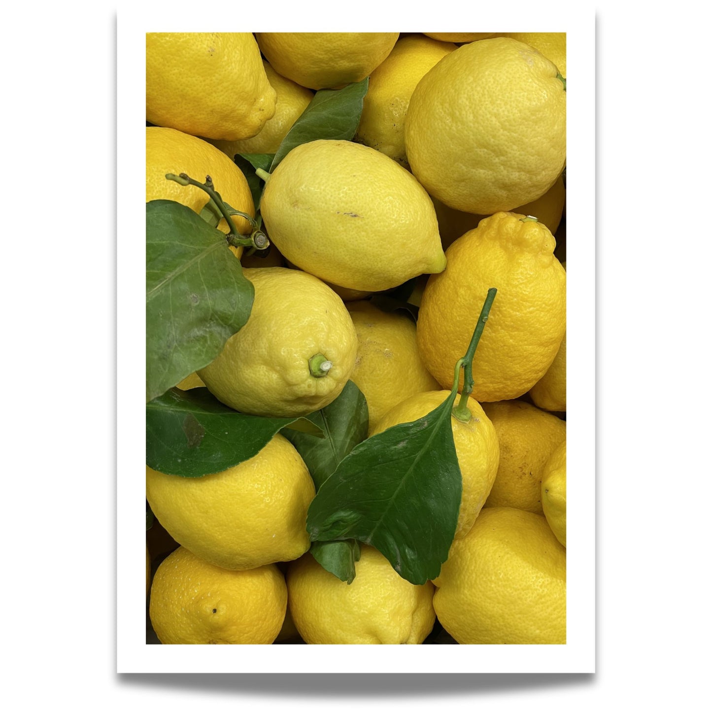 Bring friskhet og farge inn i rommet med Lemon Love, en livlig plakat og lerret med sitroner.