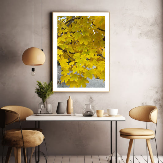 Dette motivet fanger de levende gule lønnbladene på sitt vakreste, når naturen skifter til høst. De sterke fargene og de detaljerte bladformene skaper et friskt og energigivende uttrykk som gir liv til ethvert rom. Illustrasjon viser motivet som plakat i lys ramme.