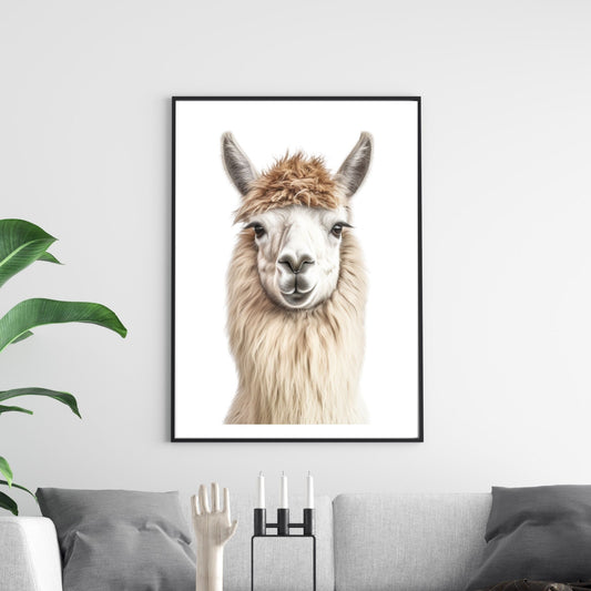 Denne stilige og detaljerte illustrasjonen av en bedårende lama mot en ren, hvit bakgrunn gir en moderne og leken følelse til ethvert rom. Illustrasjonsfoto viser motivet i sort ramme.