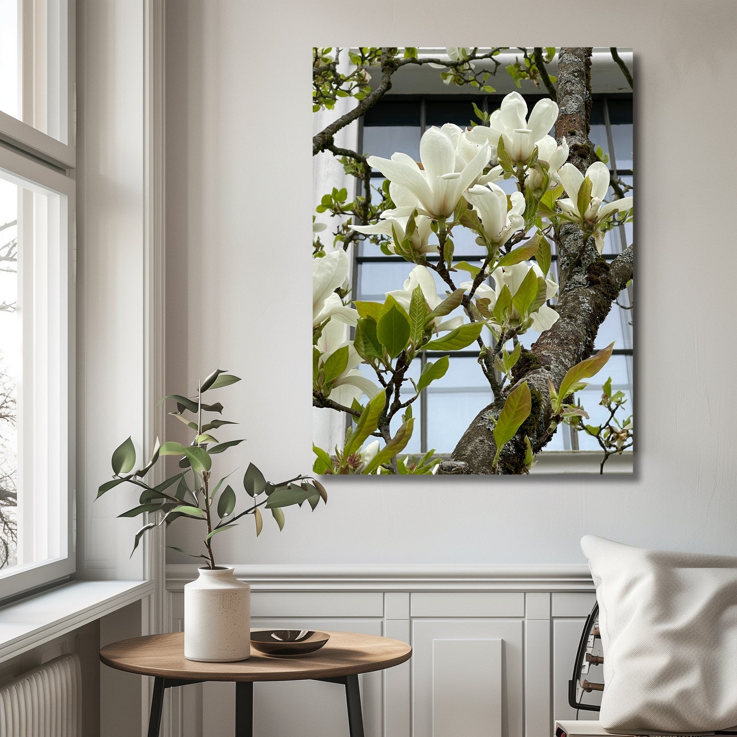 Dette flotte fotografiet, tatt i Musèhagen i Bergen, fanger den tidløse elegansen av hvit Magnolia i full blomst. Illustrasjonsfoto viser motivet på lerret.