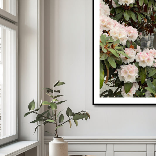 Denne vakre plakaten eller lerretet fanger essensen av naturens skjønnhet med Rhododendronens fantastiske blomsterprakt. Illustrasjonsfoto viser motivet som plakat i sort ramme.