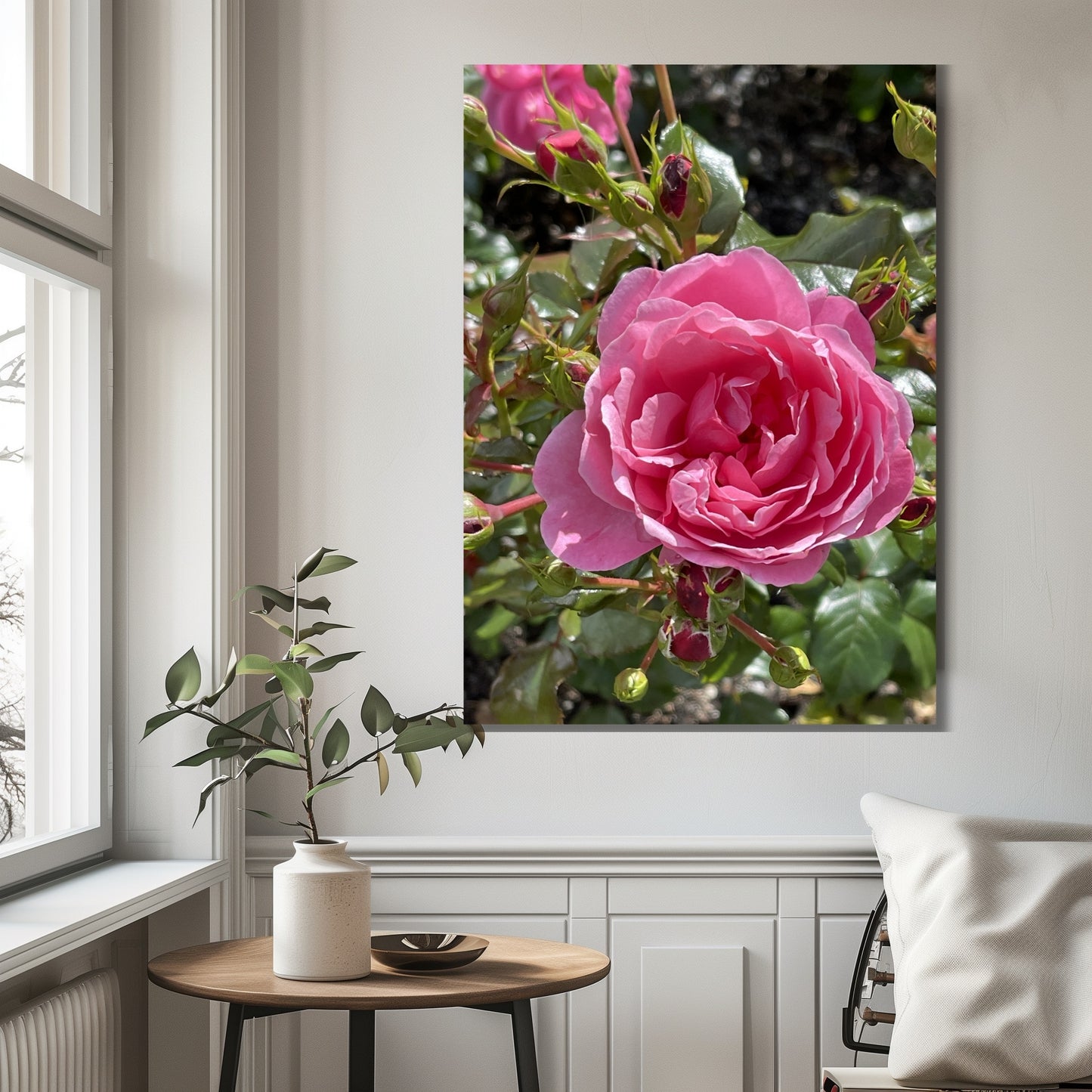 Dette vakre fotografien fanger de cerisefargede rosene i full blomst i Musèhagen, en av Bergens mest sjarmerende parker. Illustrasjonsfoto viser motivet på lerret.