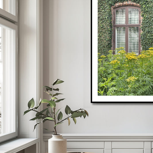 Denne unike fotografiplakaten fanger essensen av Reinfann-blomsten, og den sjarmerende atmosfæren i Musèhagen. Illustrasjonsfoto viser motivet som plakat i sort ramme.