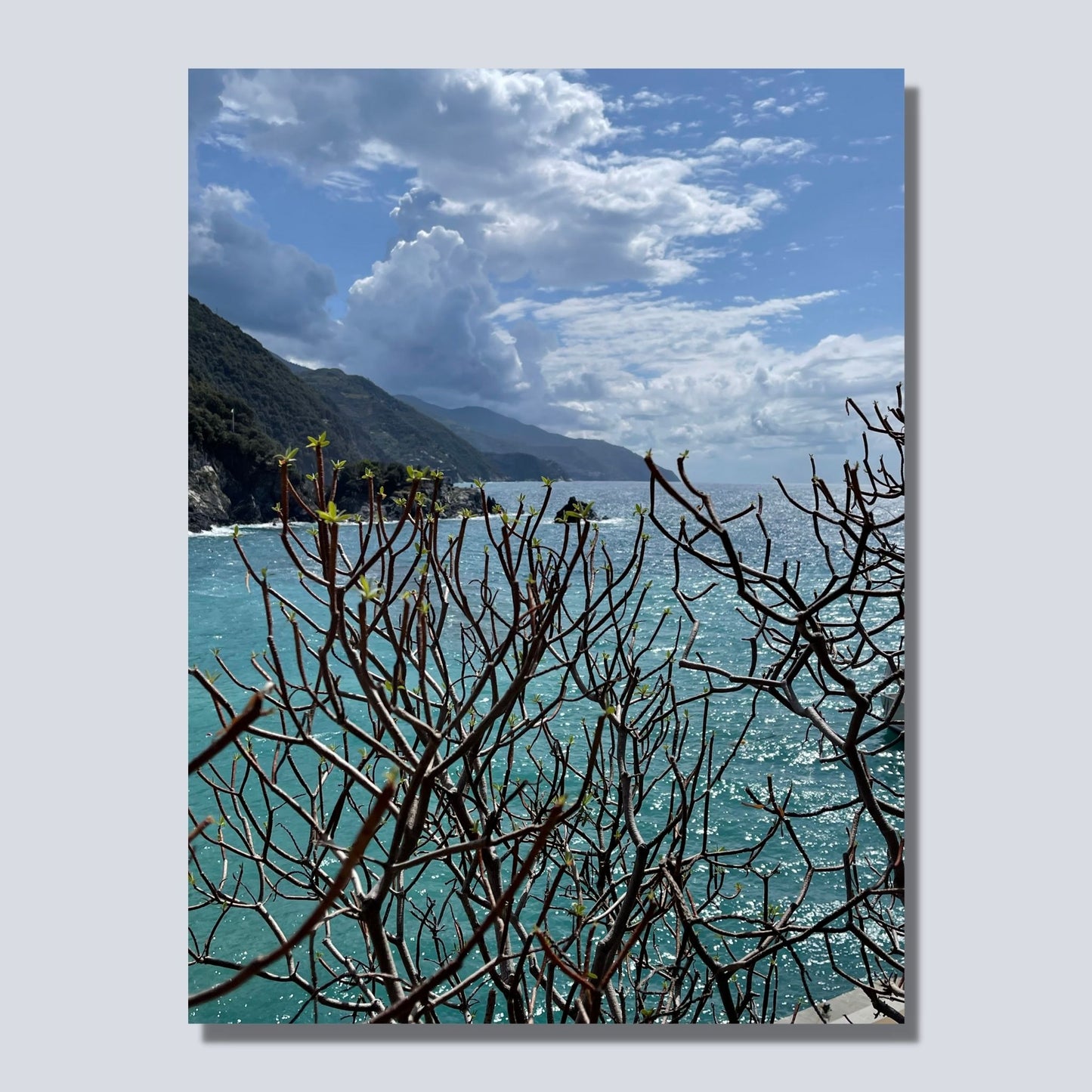 Bildet viser klippene og fjellsiden som går rett ned i havet. Himelen er dekortert med noen skybanker. Havet møter himmelen ute i horisonten. I forgrunnen er det en busk uten blader. Bildet er på lerret.