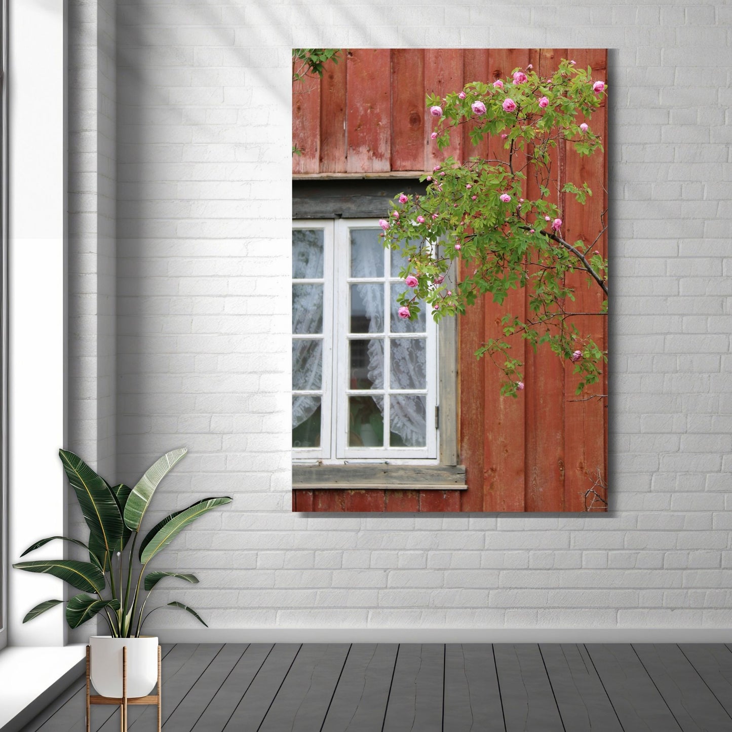 Motivet viser et vakkert, slitt rødmalt trehus med et vindu pyntet med blonder i gardinene, samtidig som en frodig rosebusk strekker seg mot glasset. Illustrasjonsfoto viser motivet på lerret.
