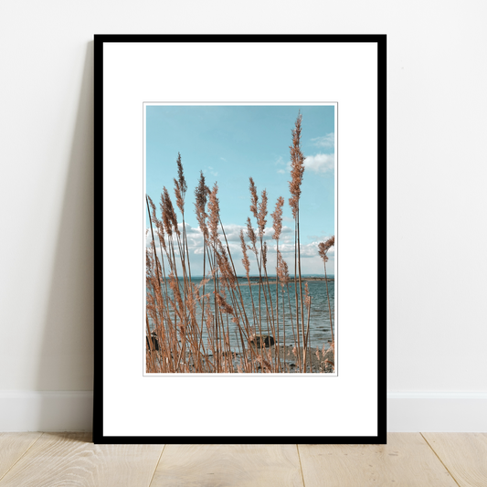 Siv som vaier i vinden, sjø med krusninger og blå himmel med hvite skyer. Maritime omgivelser ved Saltnesstranda, Saltnes.