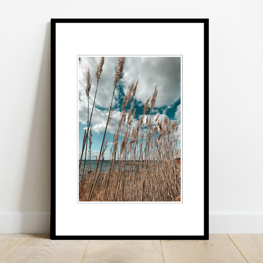 Siv som vaier i vinden, sjø og blå himmel med hvite skyer. Maritime omgivelser ved Saltnesstranda, Saltnes.