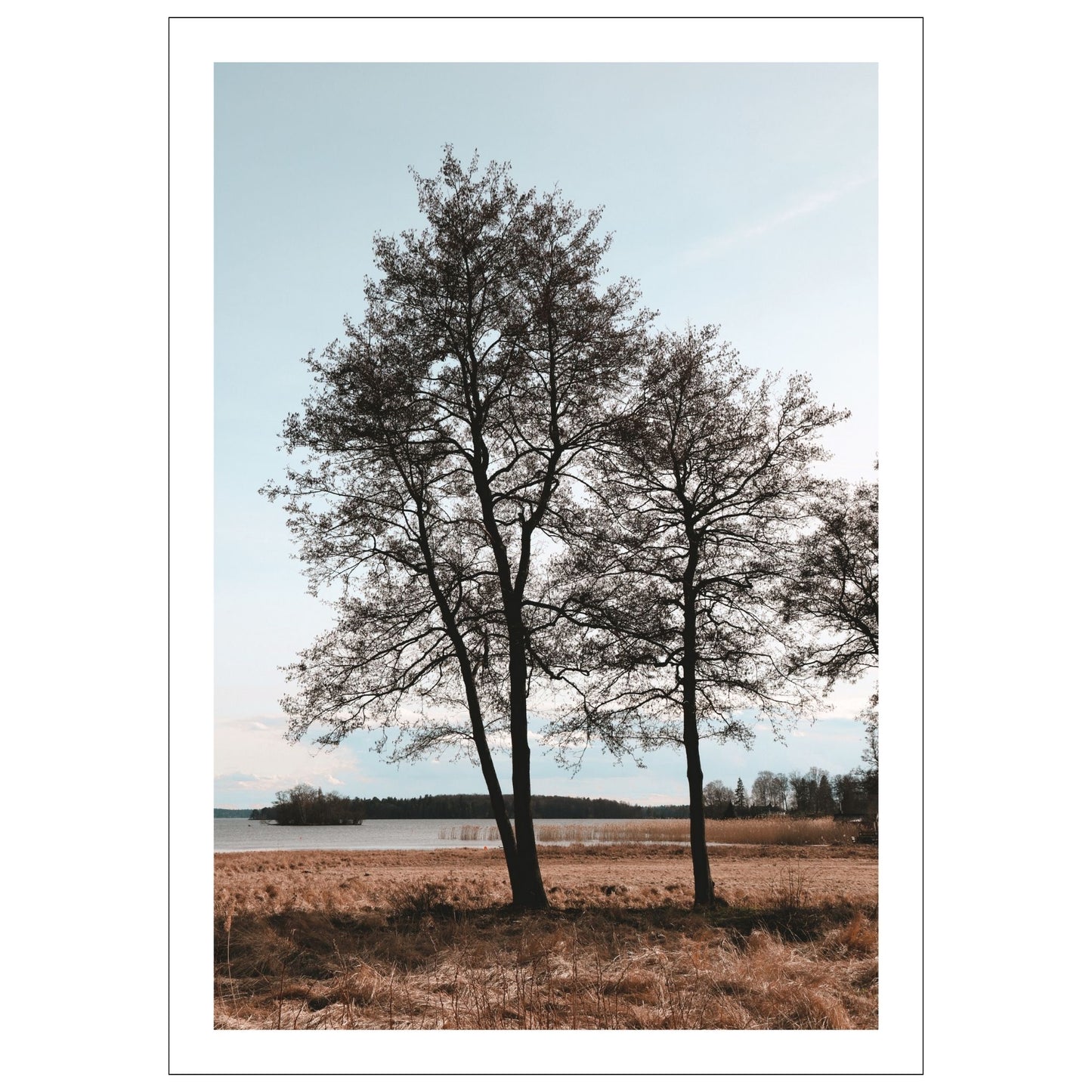 Dykk inn i en verden av sublim natur og opplev øyen Tidö-Lindös magi i april. Vårt unike bilde fanger øyeblikket av vår ved Mälaren
