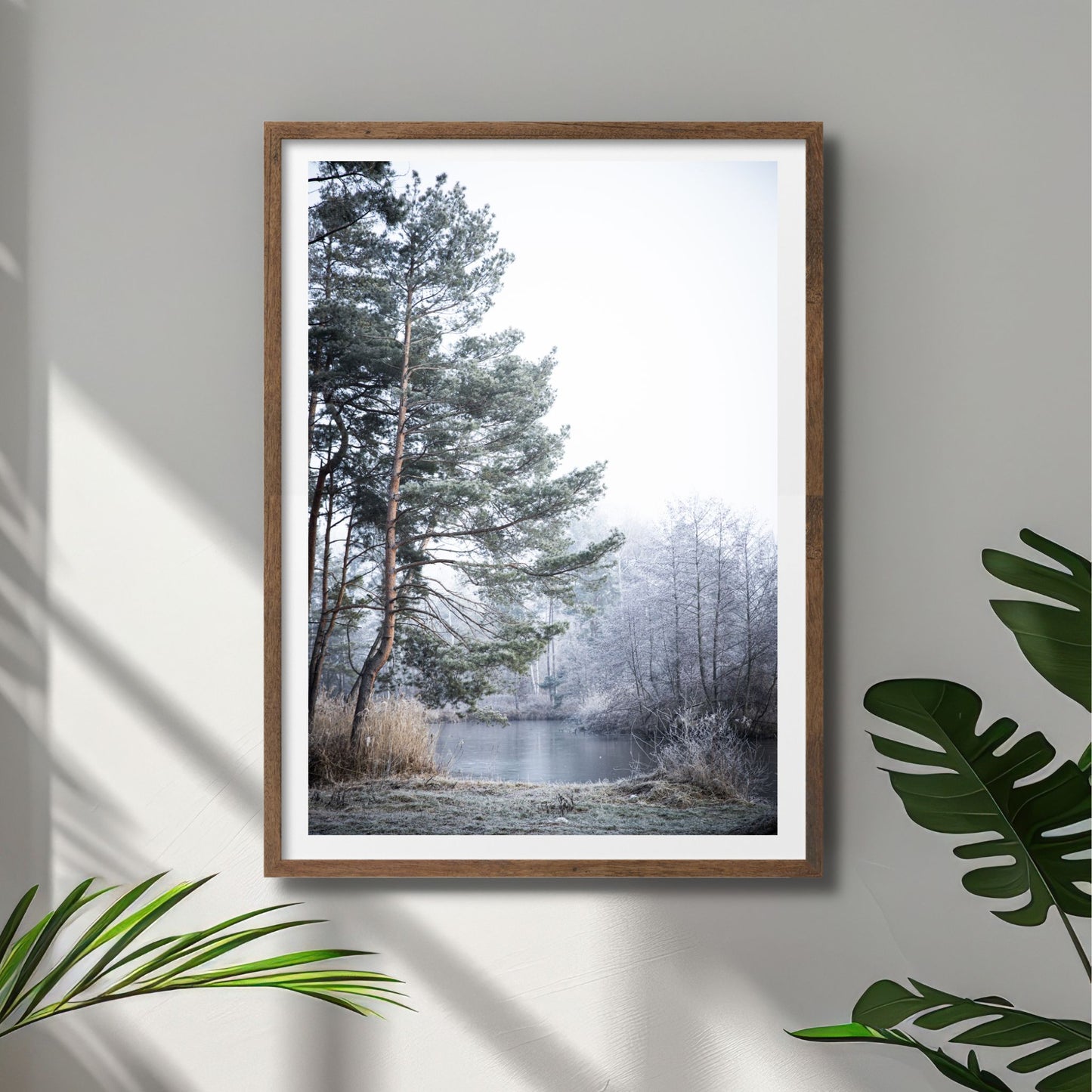 Dette motivet fanger essensen av et stille, vinterlig landskap, med snødekte trær ved en islagt innsjø. Illustrasjonsfoto viser motiv i mørk ramme.