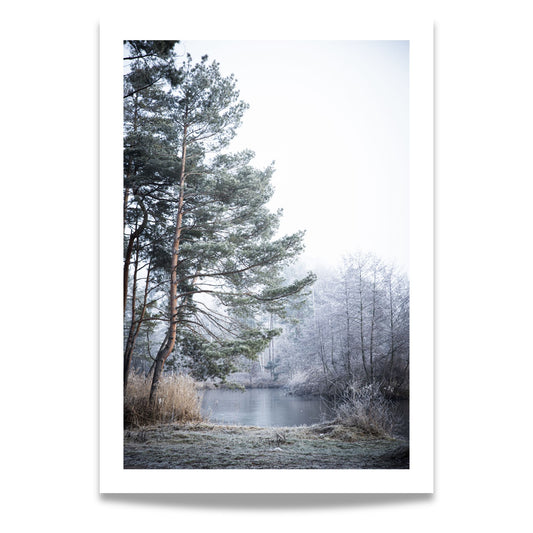 Dette motivet fanger essensen av et stille, vinterlig landskap, med snødekte trær ved en islagt innsjø.