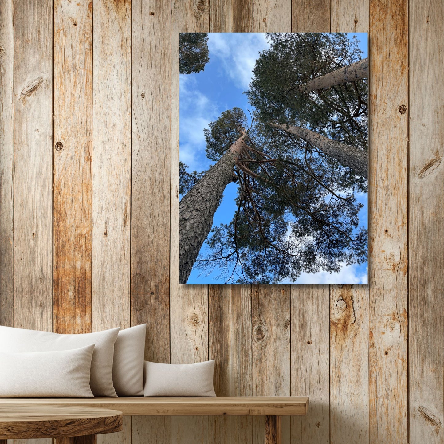 Plakaten Oftenåsen – Blikket mot Furutoppene fanger et ikonisk perspektiv fra skogen – sett rett opp mot himmelen gjennom gamle, værbitte furutrær. Illustrasjon viser motivet på lerret.