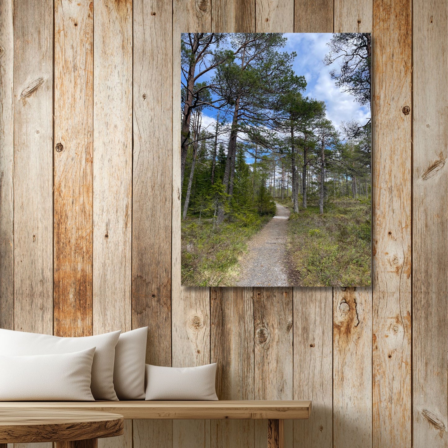 Oftenåsen – Sti gjennom Fururiket er et motiv som fanger det karakteristiske furulandskapet. illustrasjon viser motivet på lerret.