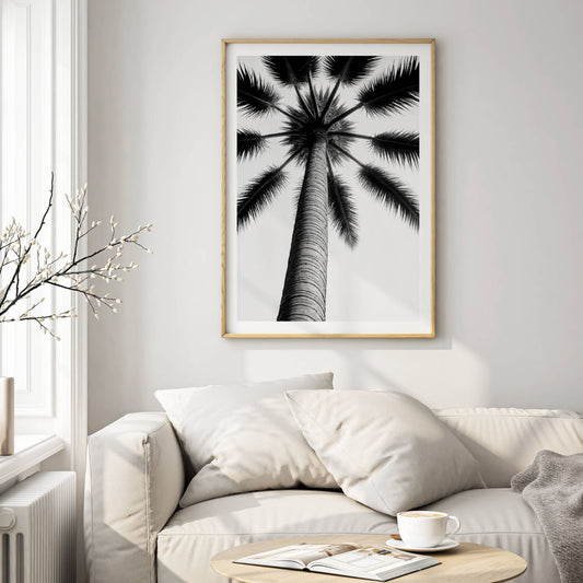 Stilrent svart-hvitt-motiv som gir et unikt perspektiv av en majestetisk palme, sett nedenfra. Illustrasjon viser motivet som plakat i eik ramme.