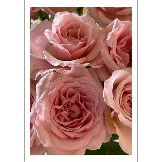 Forvandle ethvert rom med elegansen fra denne vakre plakaten eller lerretet som viser en nydelig rosa rosebuket.