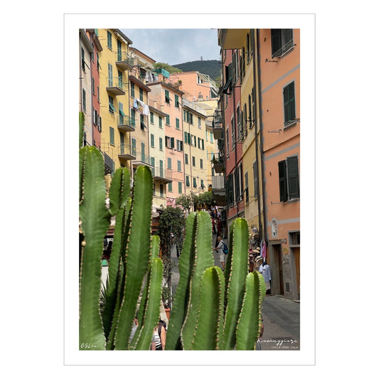 Plakat viser Riomaggiores hovedgate med sine fargerike hus. Sammenhengende gule og oransje hus ligger langsetter i byens eneste gate. En stor kaktus som vokser villig i dette klimaet.